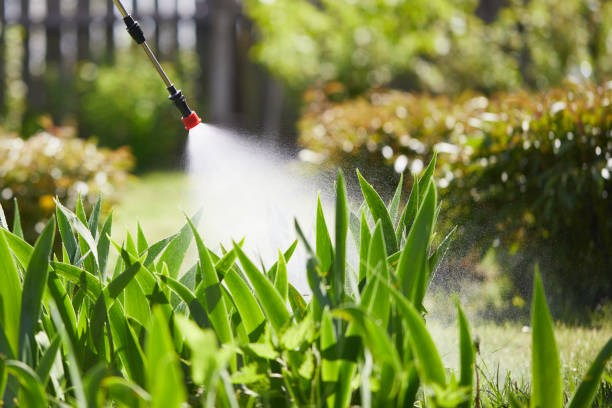 24/7 Emergency Cockroach Control experts in Oakhurst, CA
